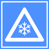 Winter Check icon